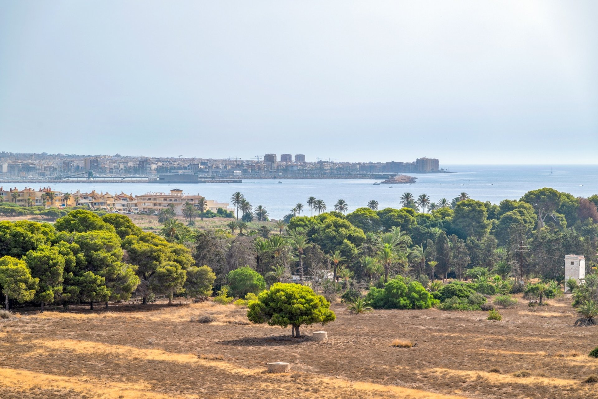 Újraértékesítés - Apartman - Torrevieja - Punta Prima