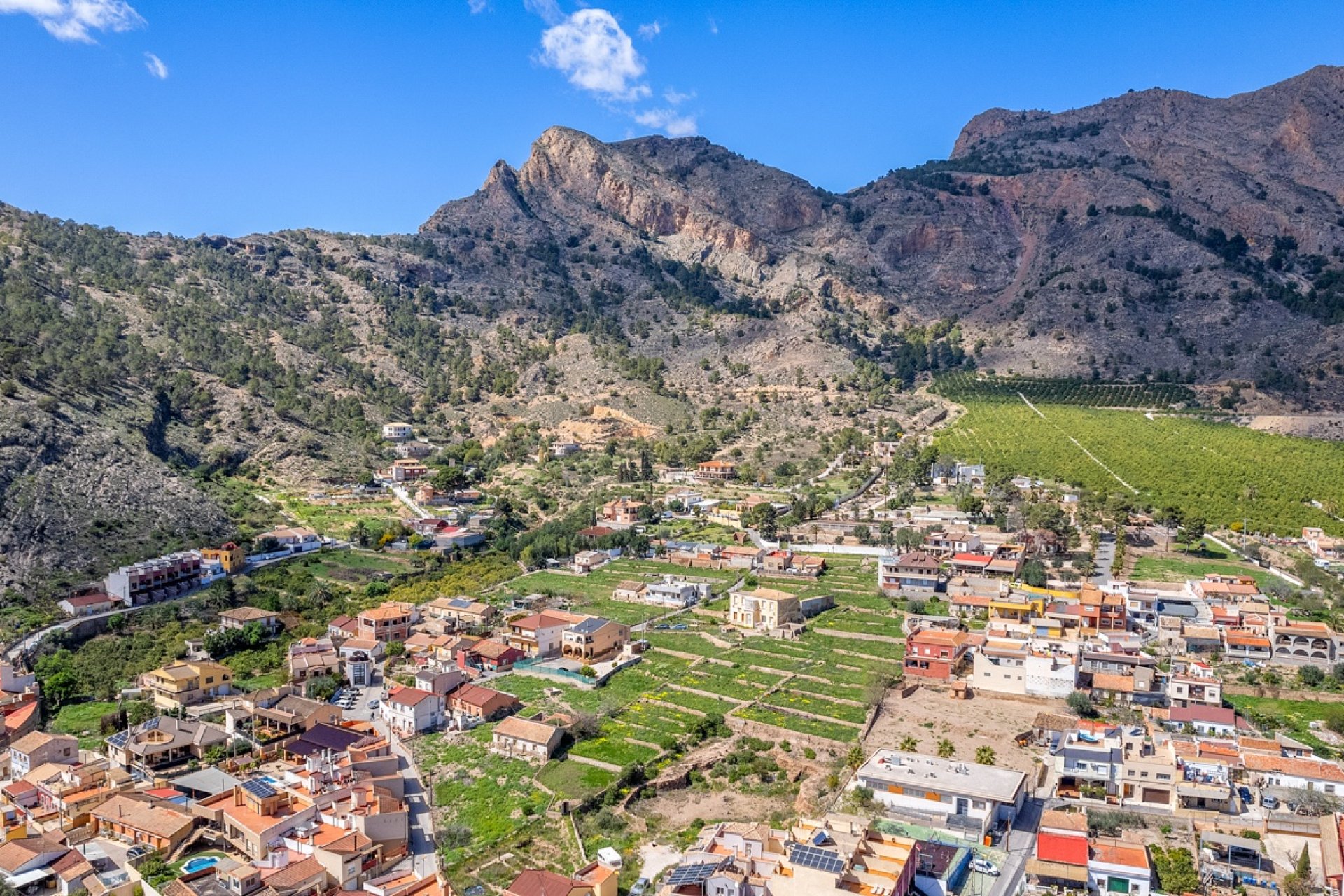 Újraértékesítés - finca - Orihuela