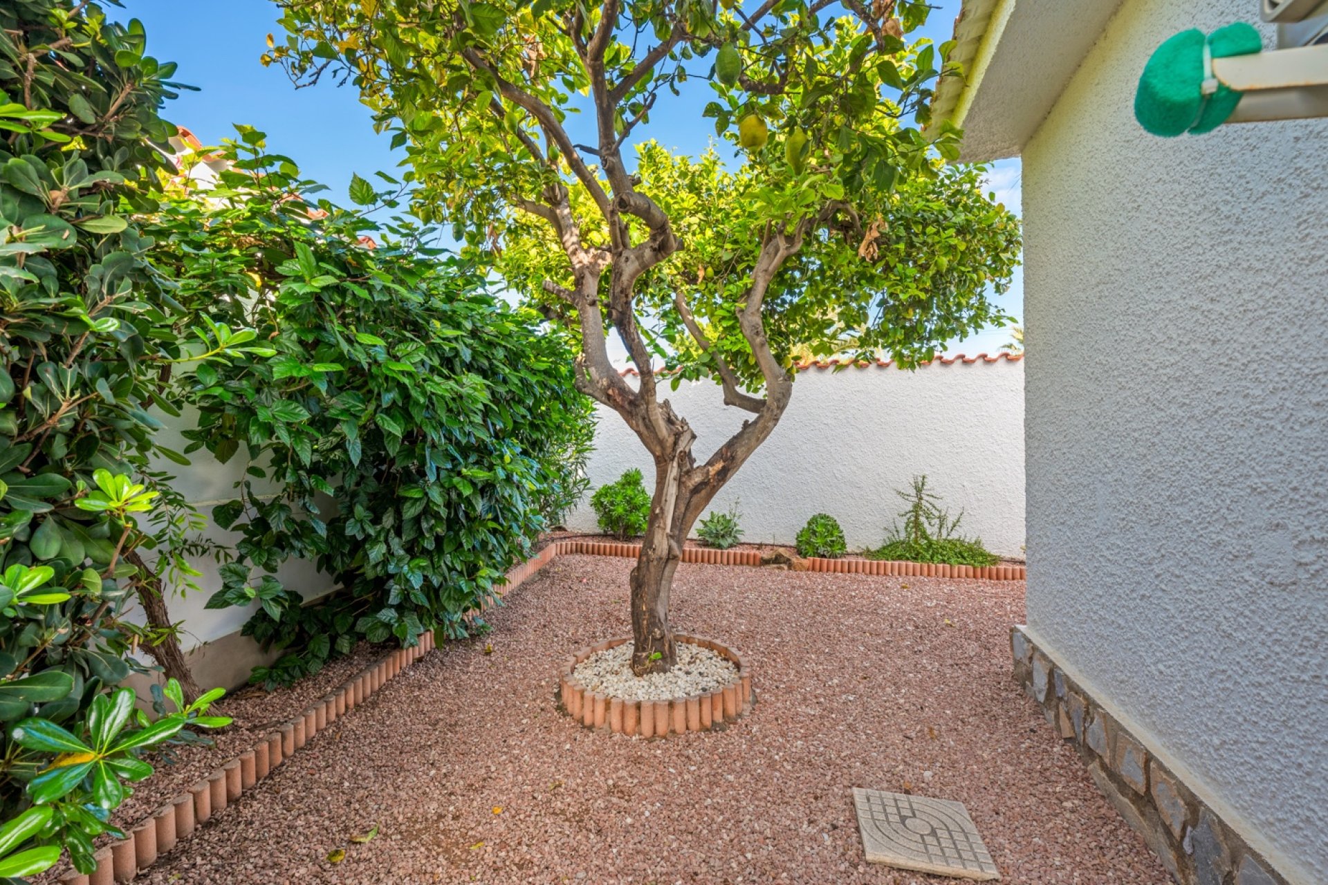 Újraértékesítés - Villa - Ciudad Quesada - Rojales