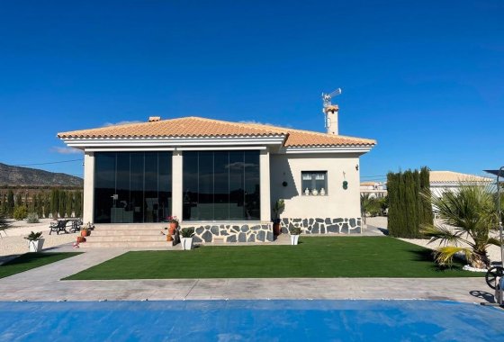 Villa - Nieuwbouw  - Pinoso - Camino Del Prado