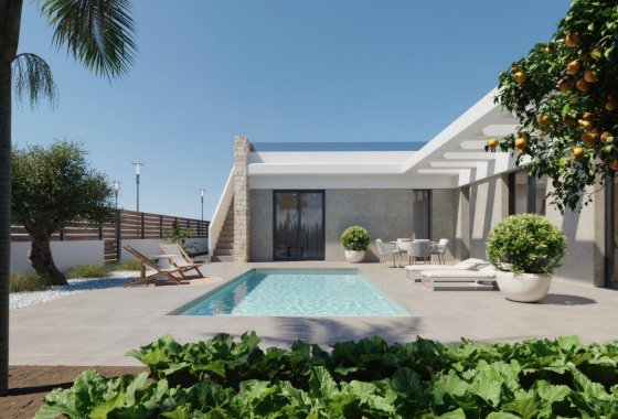 Villa - Новое здание - Fuente Álamo - Hacienda del Alamo
