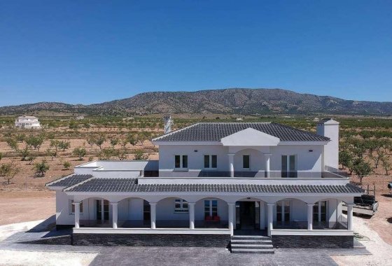 Villa - Новое здание - Pinoso - Camino Del Prado