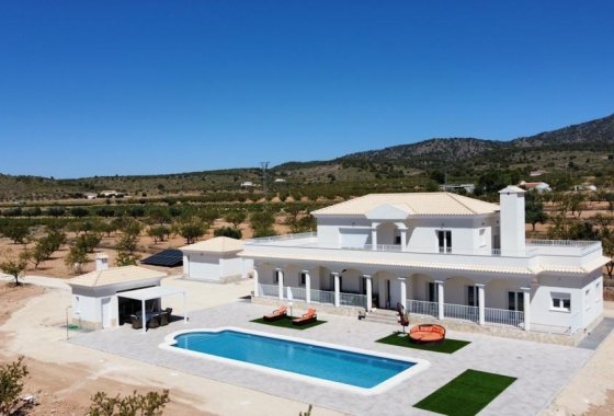 Villa - Новое здание - Pinoso - Camino Del Prado