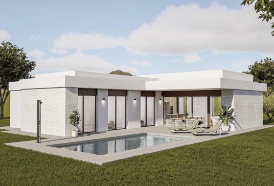 Villa - Новое здание - Pinoso - Lel