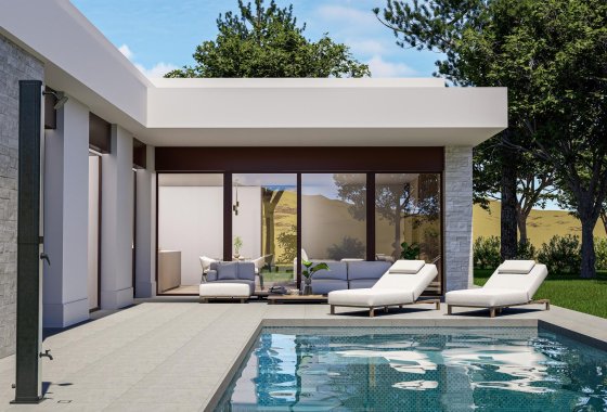 Villa - Новое здание - Pinoso - Lel