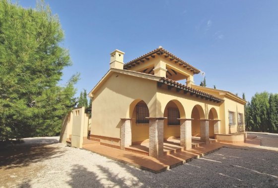 Villa - Obra nueva - Fuente Álamo - Fuente Álamo