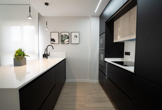 Nouvelle construction - Appartement - Pilar de la Horadada