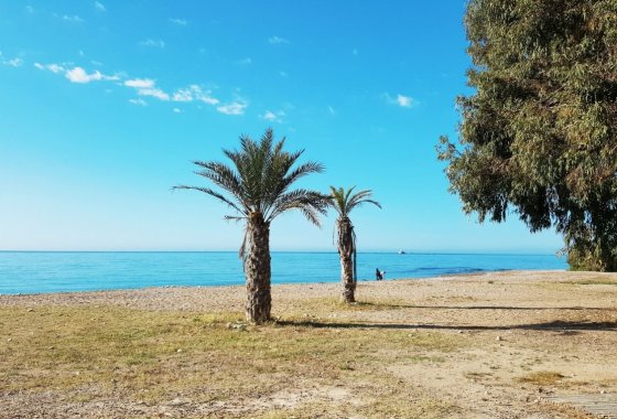 Nouvelle construction - Appartement - Villajoyosa