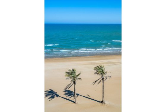 Resale - Apartment  - Guardamar del Segura - Guardamar