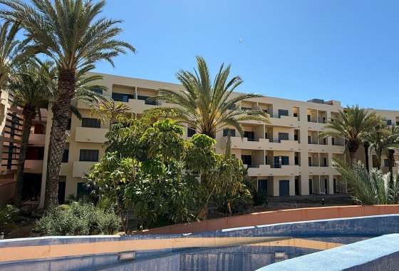 New Build - Apartment  - Vera