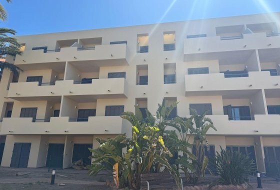 New Build - Apartment  - Vera