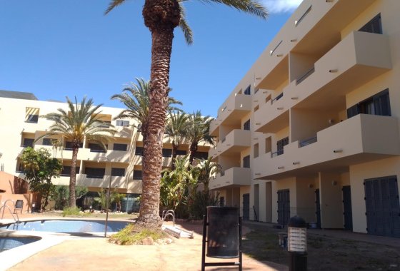 New Build - Apartment  - Vera