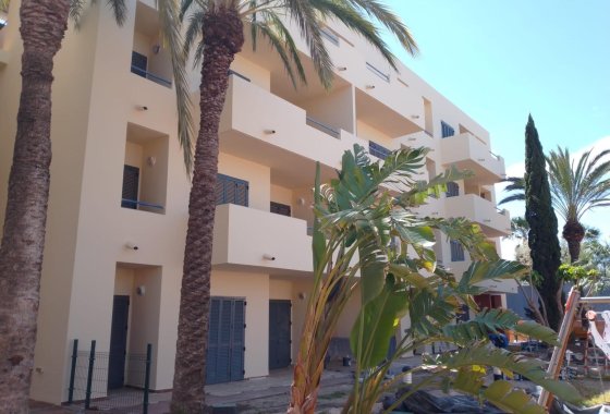 New Build - Apartment  - Vera
