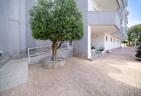 Resale - Apartment  - Orihuela Costa - Cabo Roig