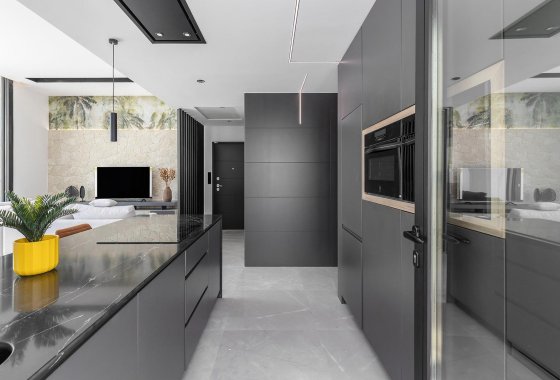 Новое здание - Villa - Torrevieja