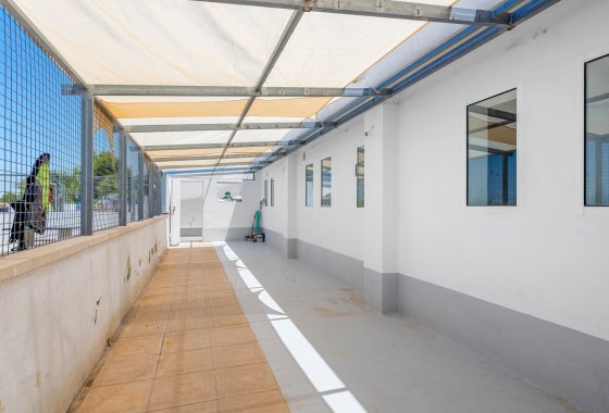 Перепродажа - Finca - Los Montesinos - La herrada