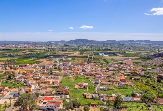 Újraértékesítés - finca - Orihuela