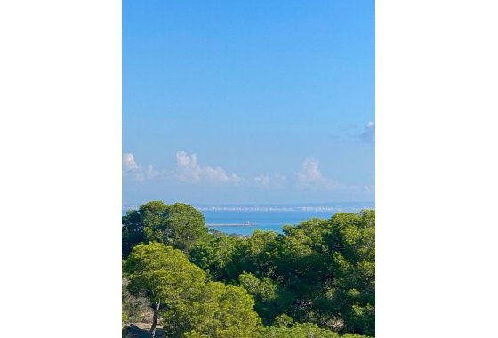 New Build - Apartment  - Guardamar del Segura