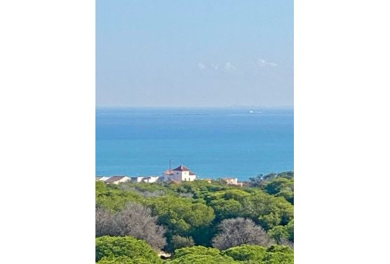 New Build - Apartment  - Guardamar del Segura