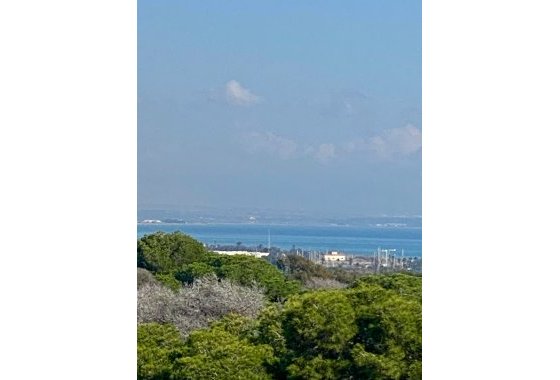 New Build - Apartment  - Guardamar del Segura