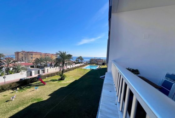 Reventa - Apartamento  - Punta Prima