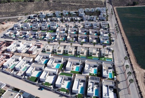 Nieuwbouw Woningen - Villa - Algorfa