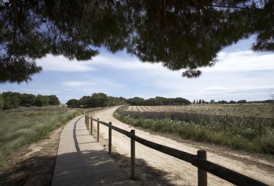 Nieuwbouw Woningen - Appartement  - Torrevieja