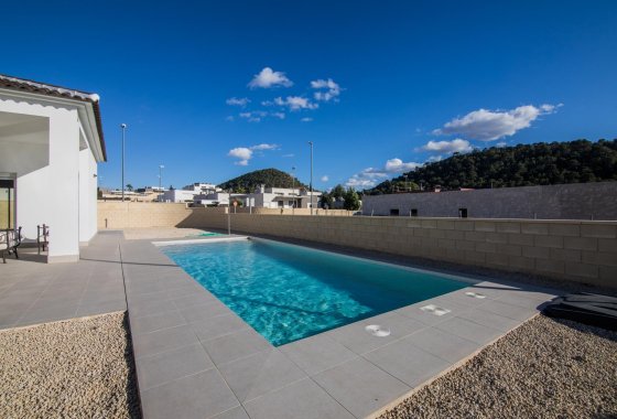 New Build - Villa - Pinoso