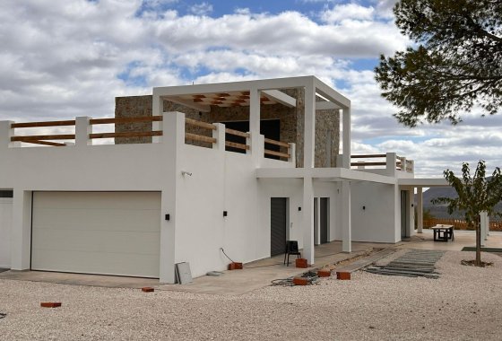 Новое здание - Villa - Pinoso - Casas Pastor