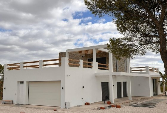 Новое здание - Villa - Pinoso - Casas Pastor