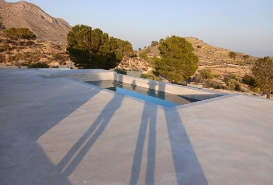 Новое здание - Villa - Pinoso - Casas Pastor