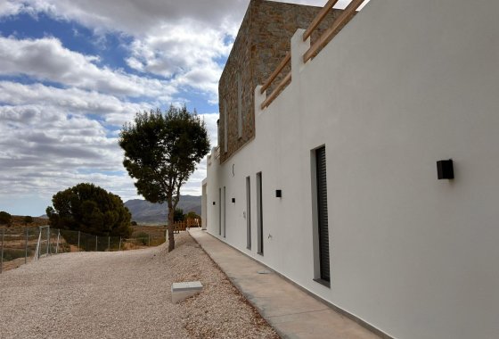 Новое здание - Villa - Pinoso - Casas Pastor