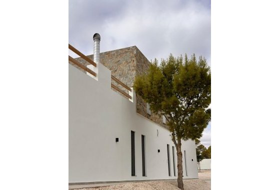 Новое здание - Villa - Pinoso - Casas Pastor