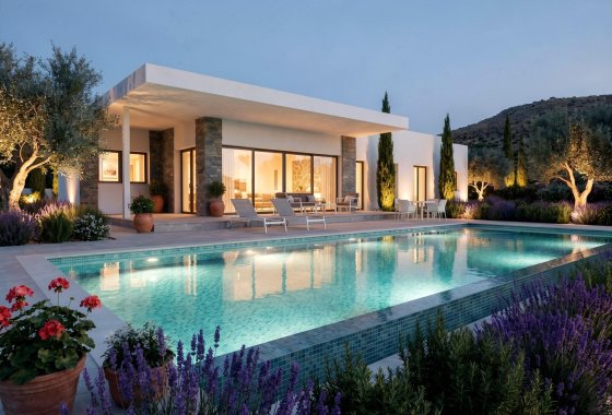 Новое здание - Villa - Pinoso - Casas Pastor