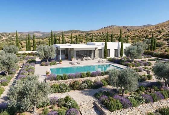 Новое здание - Villa - Pinoso - Casas Pastor