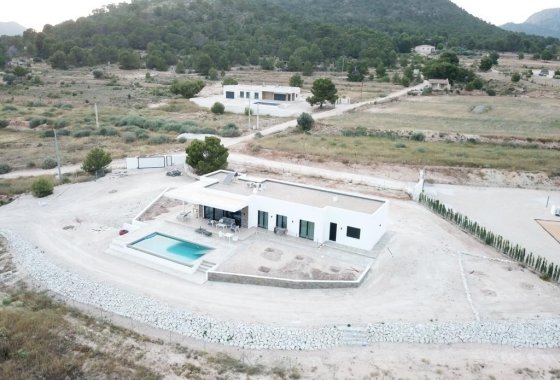 Новое здание - Villa - Pinoso - Casas Pastor