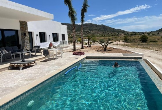 Новое здание - Villa - Pinoso - Casas Pastor