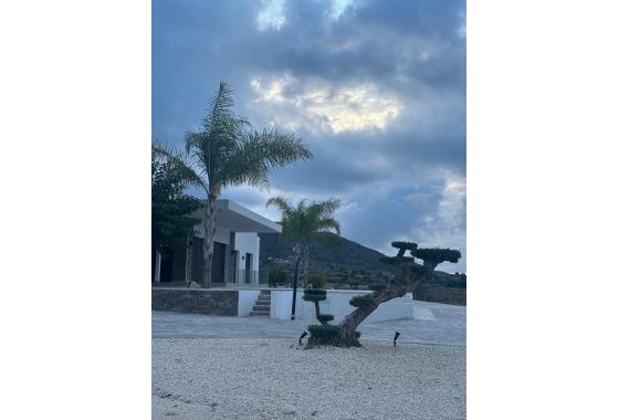 Новое здание - Villa - Pinoso - Casas Pastor