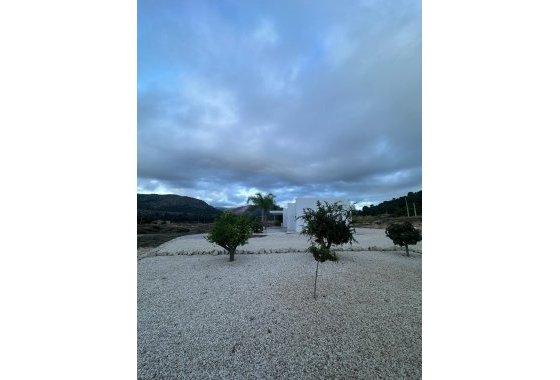 Новое здание - Villa - Pinoso - Casas Pastor
