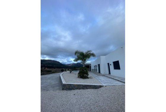 Новое здание - Villa - Pinoso - Casas Pastor