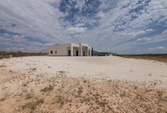 Obra nueva - Villa - Pinoso