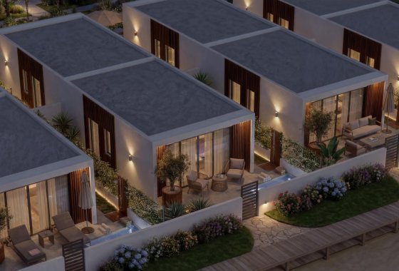 Новое здание - Villa - Vera - Vera Playa