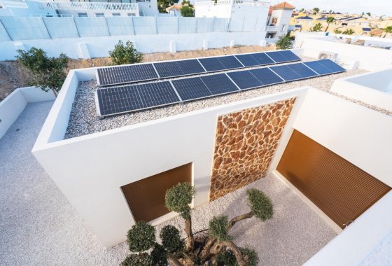 Новое здание - Villa - Benejúzar - alta