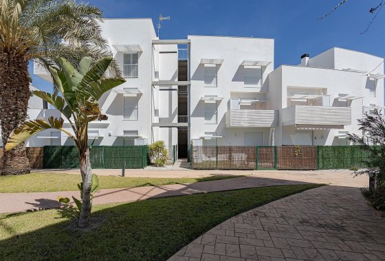 Новое здание - Квартира  - Vera - El Playazo