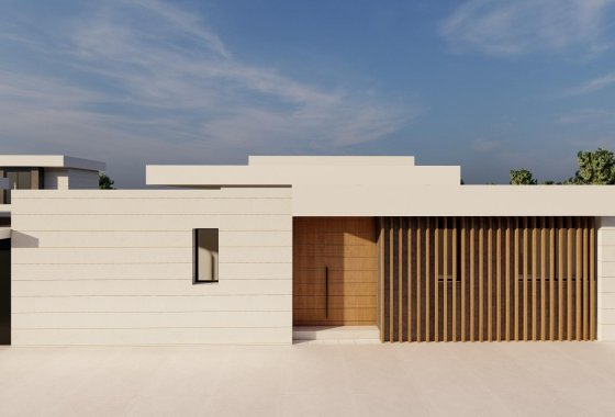 New Build - Villa - Pilar de la Horadada - pueblo