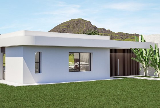 Новое здание - Villa - Pinoso - Lel