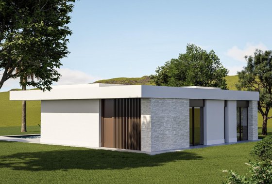 Новое здание - Villa - Pinoso - Lel