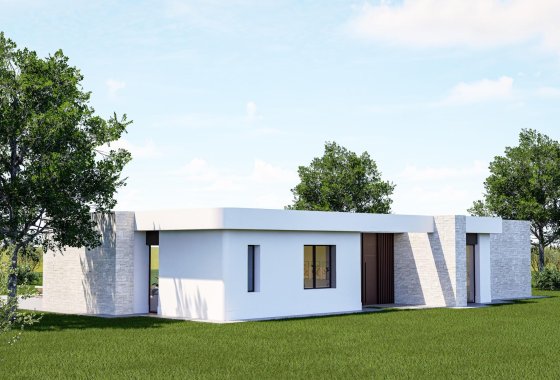 Новое здание - Villa - Pinoso - Lel