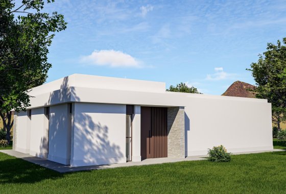 Новое здание - Villa - Pinoso - Lel