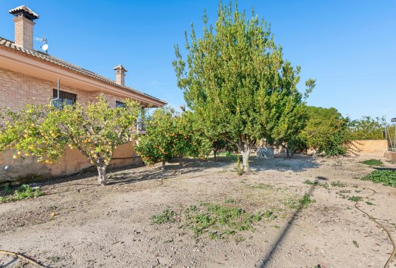 Újraértékesítés - Finca - Beniel - Carretera de Beniel